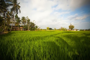 The Kanjeng Resort & Villa Ubud - Bali,,3 star