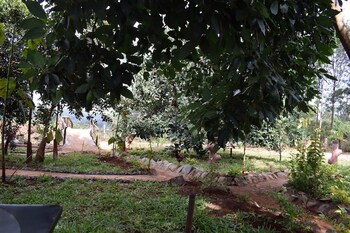 northwood gardens and adventure park