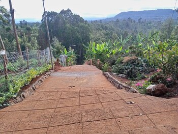 northwood gardens and adventure park