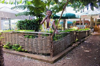 northwood gardens and adventure park
