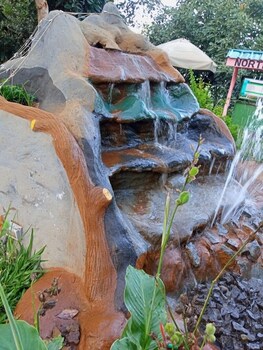 northwood gardens and adventure park