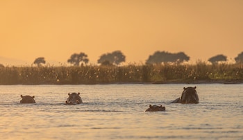 Nzovu Rundu Luxury Camp,,5 star