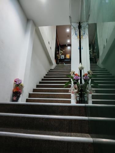 cahaya hanson bilikxpert