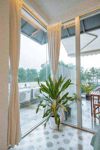 palette by reve escapes premium 2 bhk apartment near anjuna beach