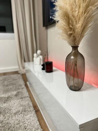 stunning 2 bed apart in the heart of aberdeen