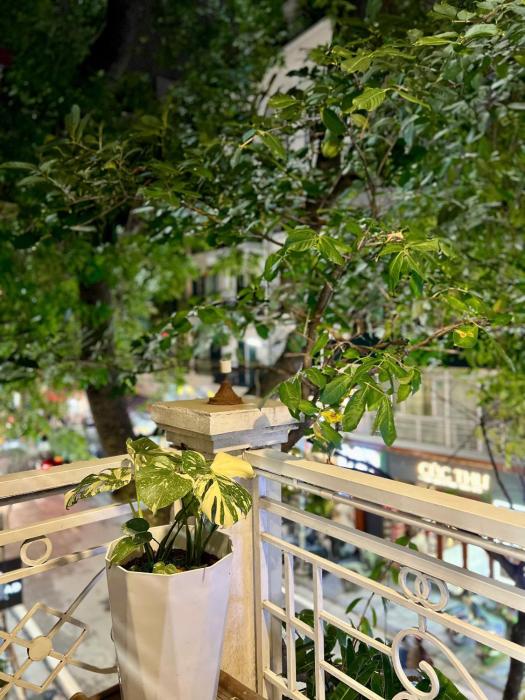 serene old quarter centre hotel ha noi