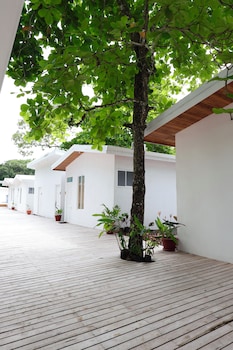 parrita
