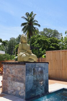 parrita