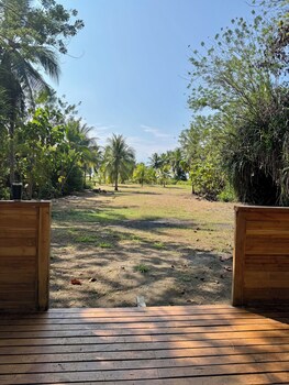 parrita