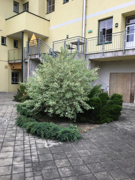 hotel zur alten schule