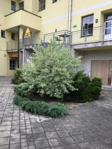 hotel zur alten schule