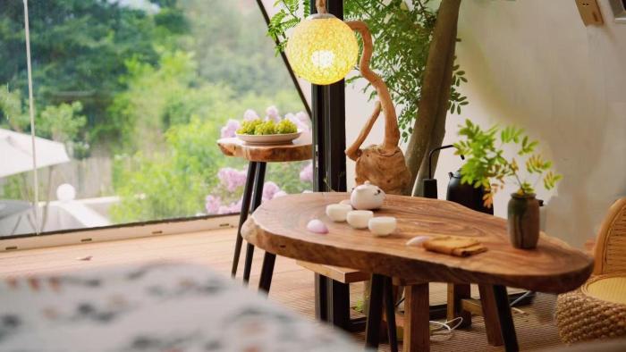 fuxian lake lanshan su ant nest homestay