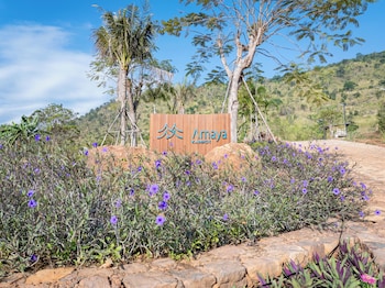 amaya kampot