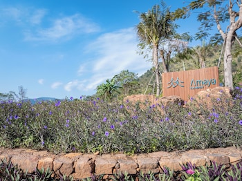 amaya kampot