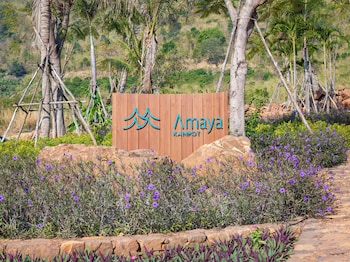 amaya kampot