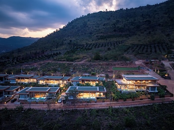amaya kampot