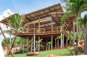amaya kampot