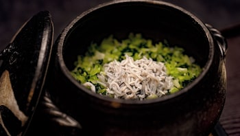 yoki matsushima