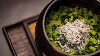 yoki matsushima