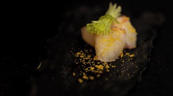 yoki matsushima