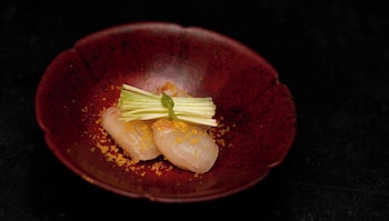 yoki matsushima