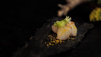 yoki matsushima