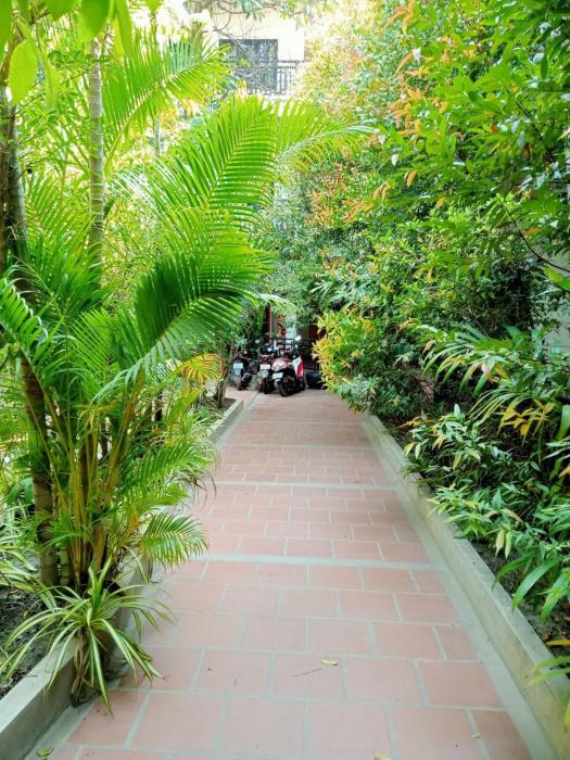 angkor tiger resort