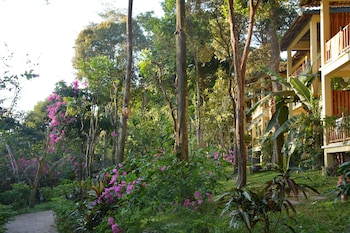 ancarine beach resort