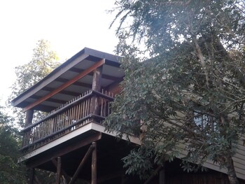 bundu lodge