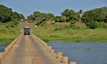 elephant walk retreat