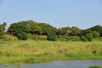 elephant walk retreat