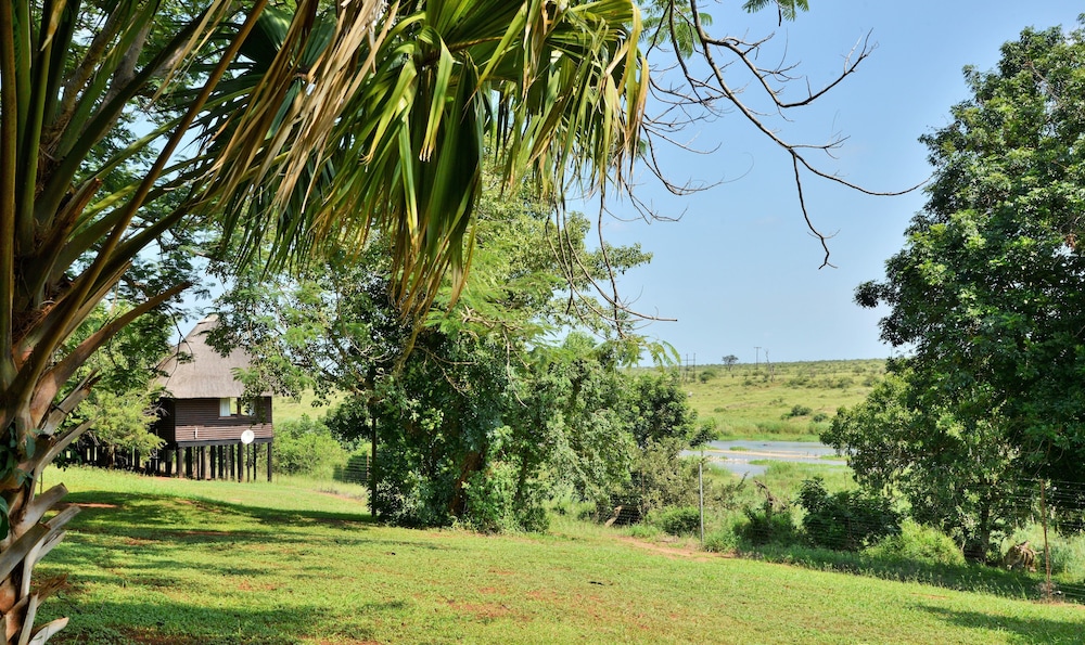 elephant walk retreat