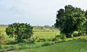 elephant walk retreat