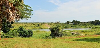 elephant walk retreat