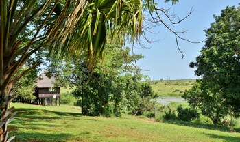 elephant walk retreat