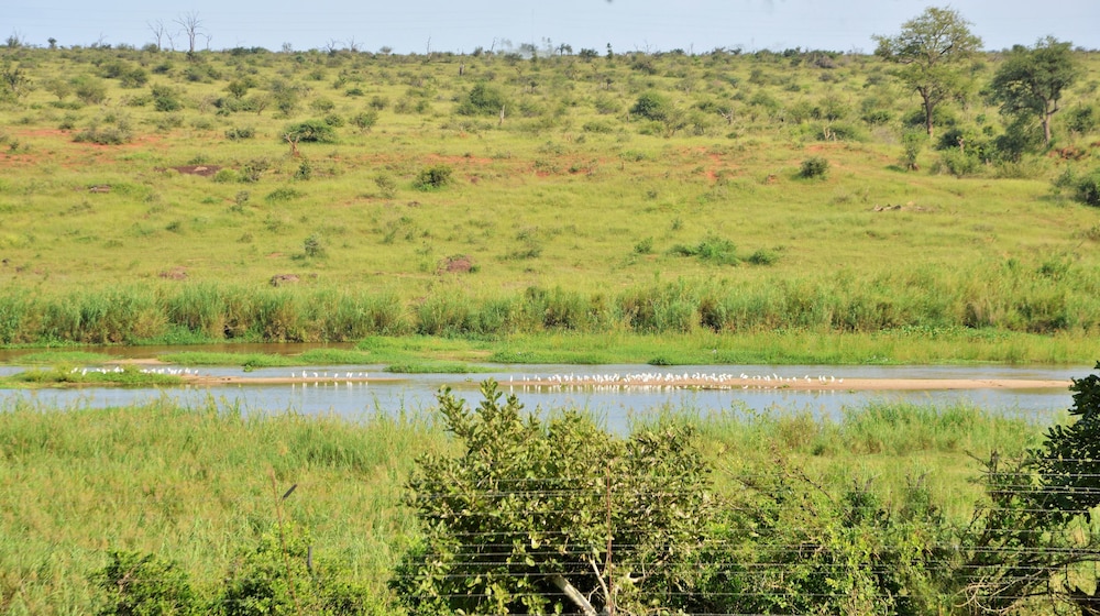 elephant walk retreat