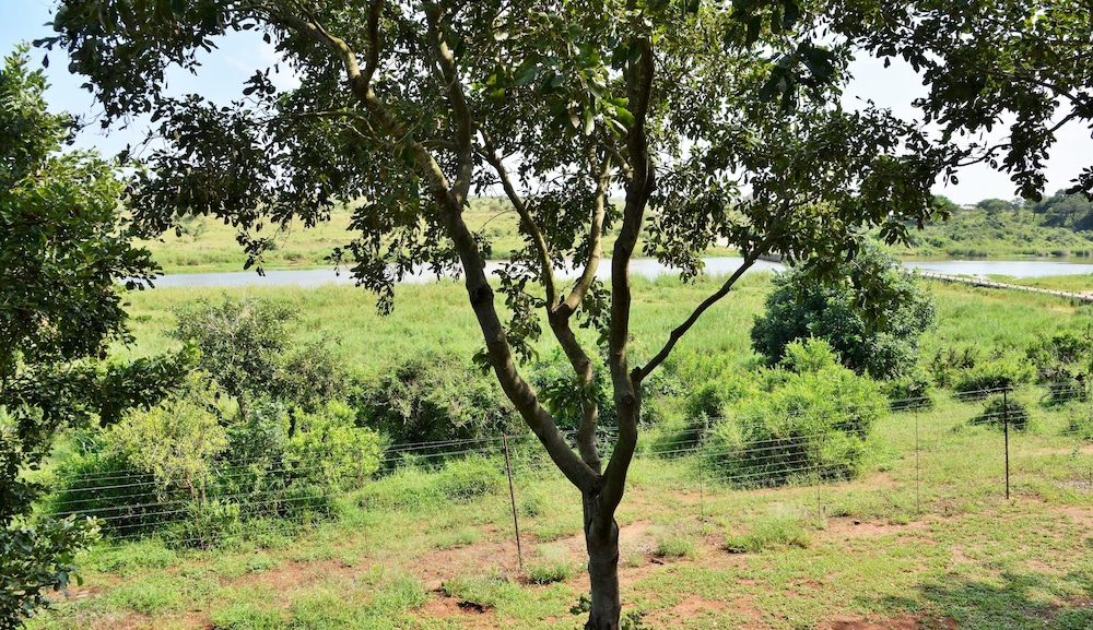 elephant walk retreat