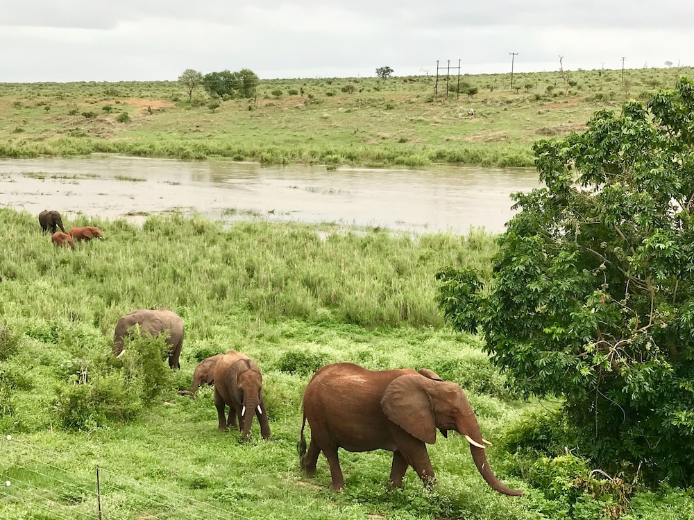 elephant walk retreat