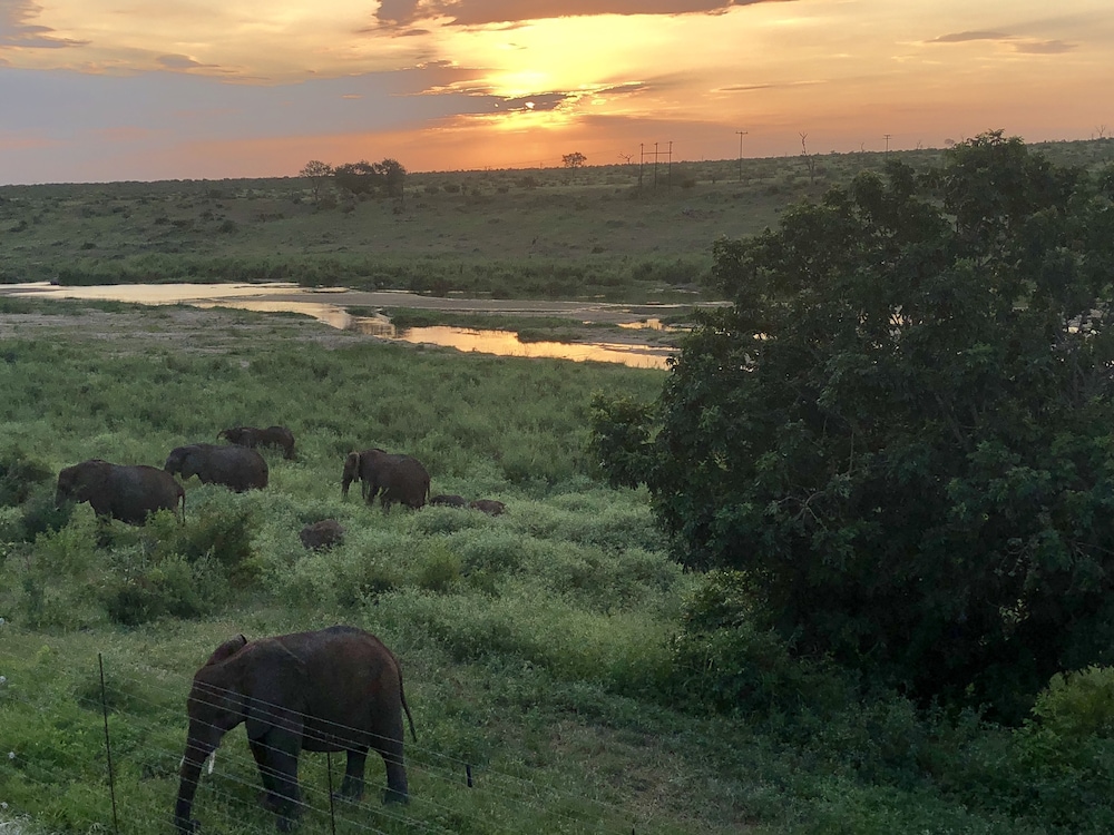 elephant walk retreat