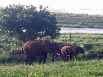 elephant walk retreat