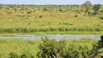 elephant walk retreat