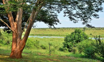 elephant walk retreat