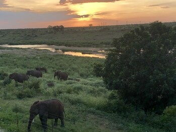 elephant walk retreat