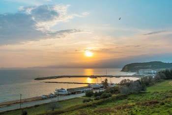 aristotelis