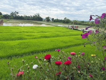 san pu loei