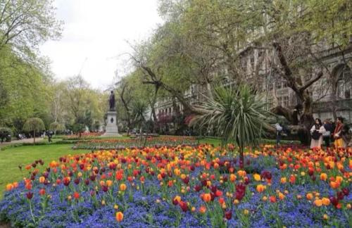 charming 2 bedroom flat in the heart of london