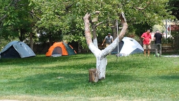 safak pansiyon