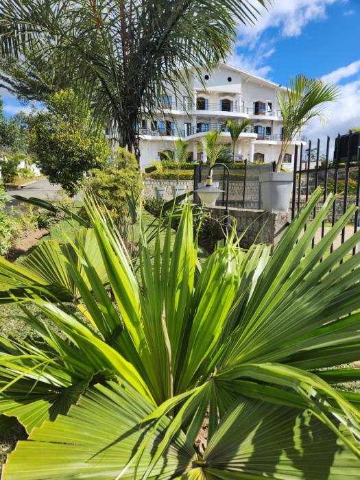 mangoro hotel