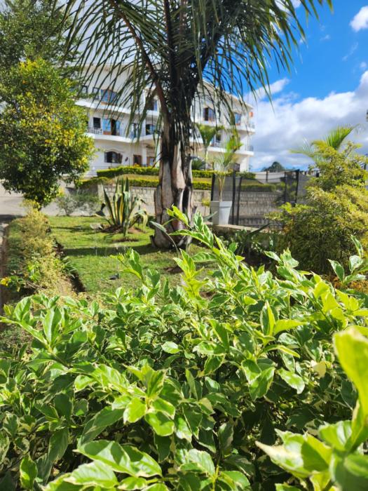 mangoro hotel