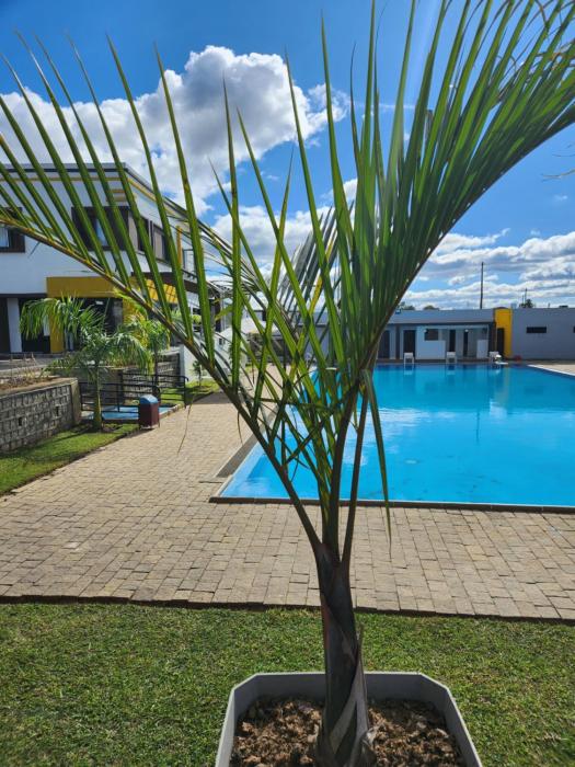 mangoro hotel